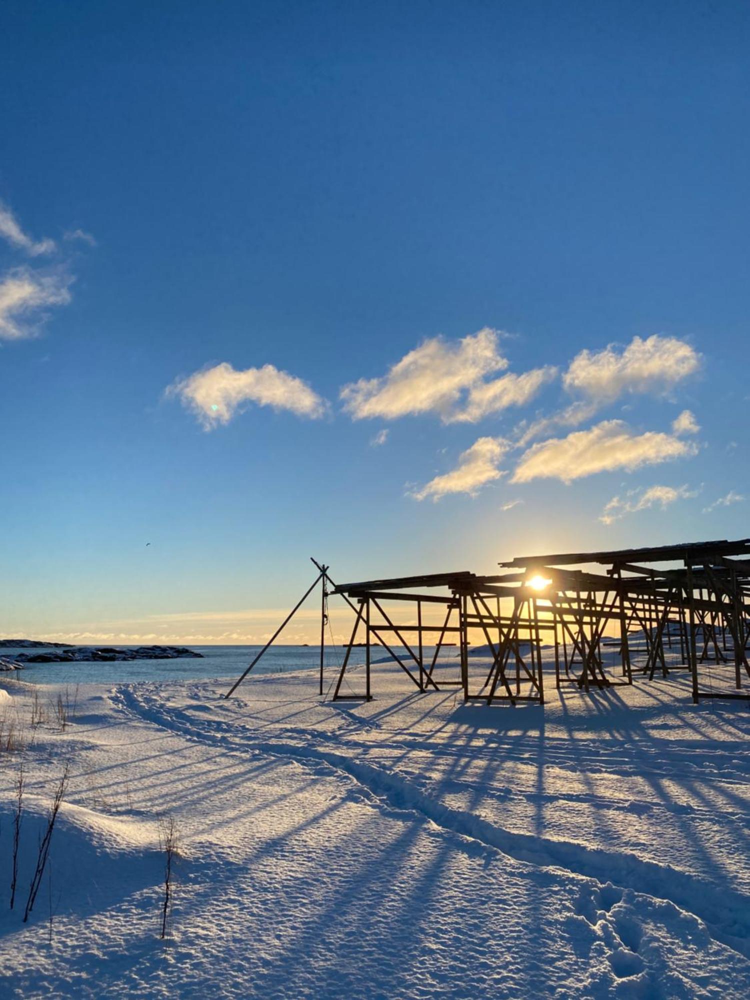 Superior Cabin Ballstad Lofoten Esterno foto